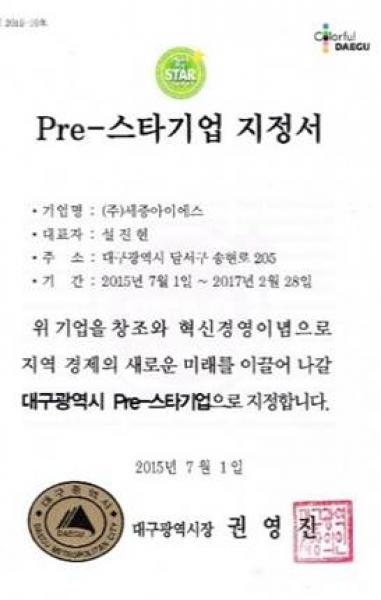 Pre-스타기업 지정서